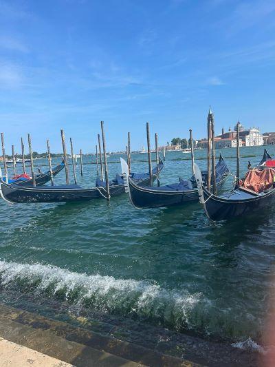 A Venetian Adventure: Rowing, Reflection, and Rediscovering Passion